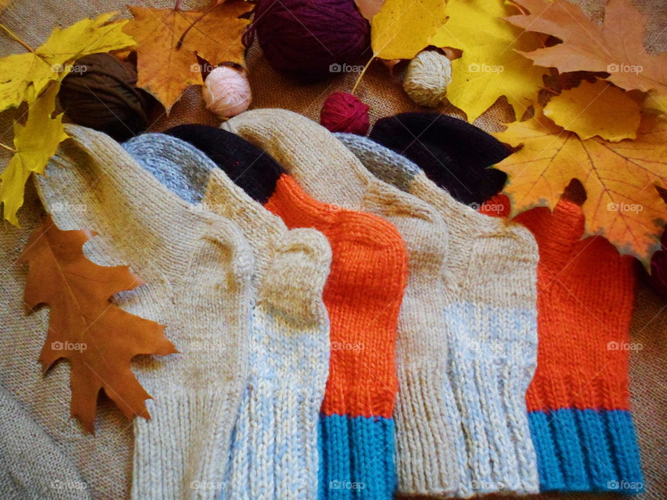 knitted warm socks and autumn leaves