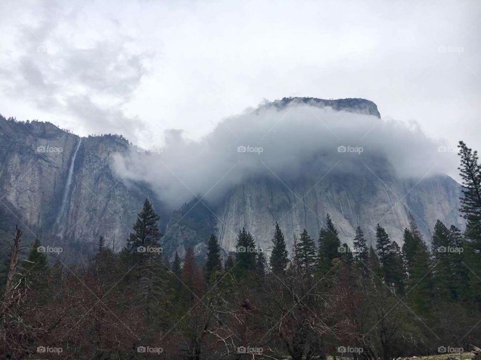 Yosemite Halo, Yosemite National Park
