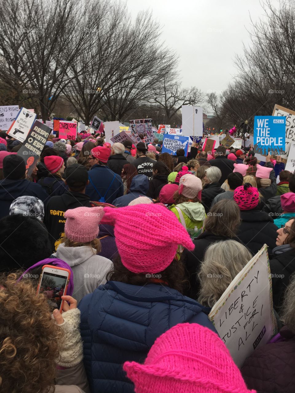 Women's March on Washington in DC