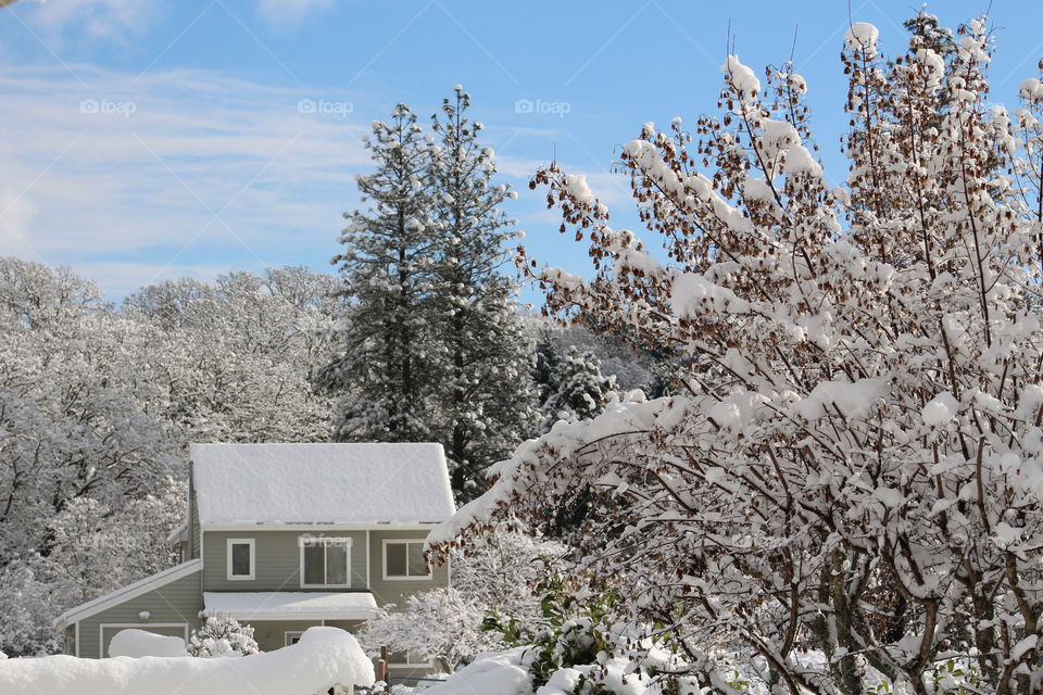 winter home