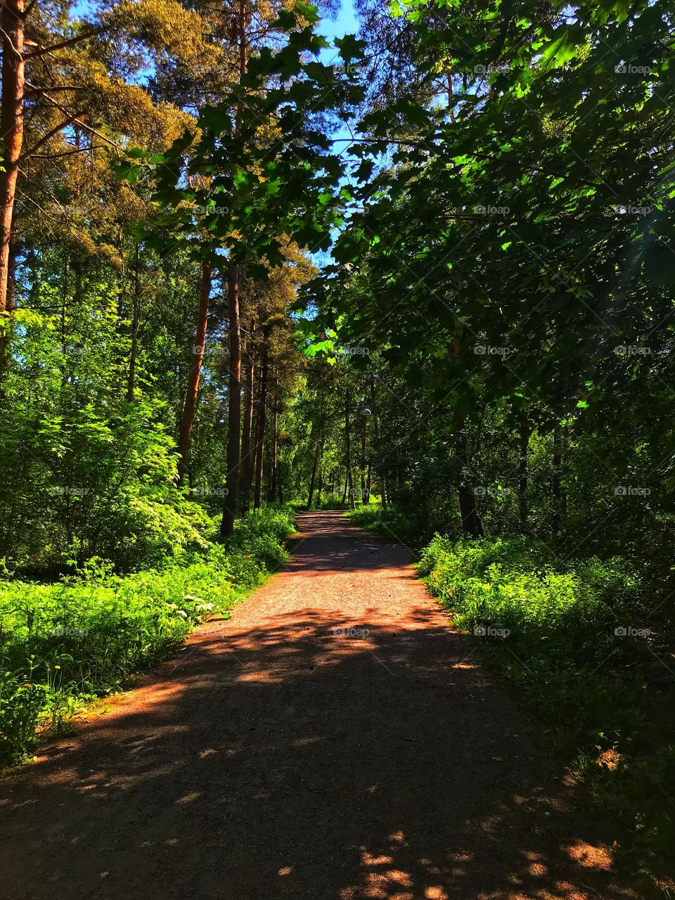 My sunny and quiet pqth to local shoppingcenter @Helsinki, Finland