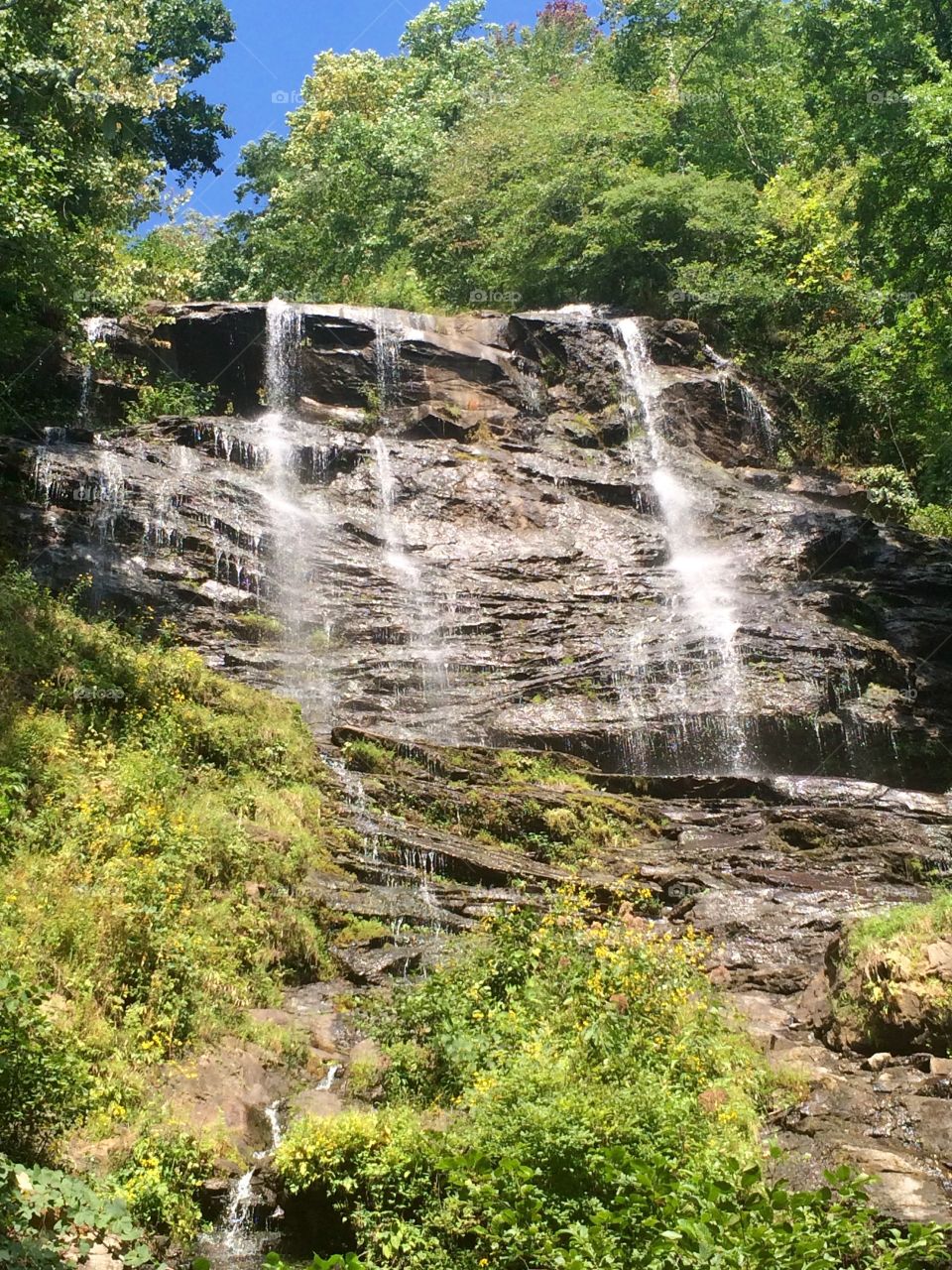 Picture I captured at Amicalola Falls State Park! 
