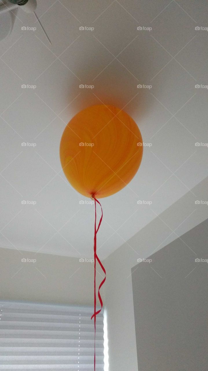 No Person, Art, Abstract, Color, Indoors