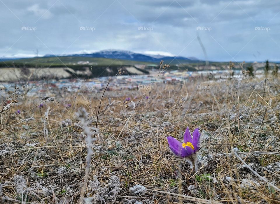 The earth is coming back to life