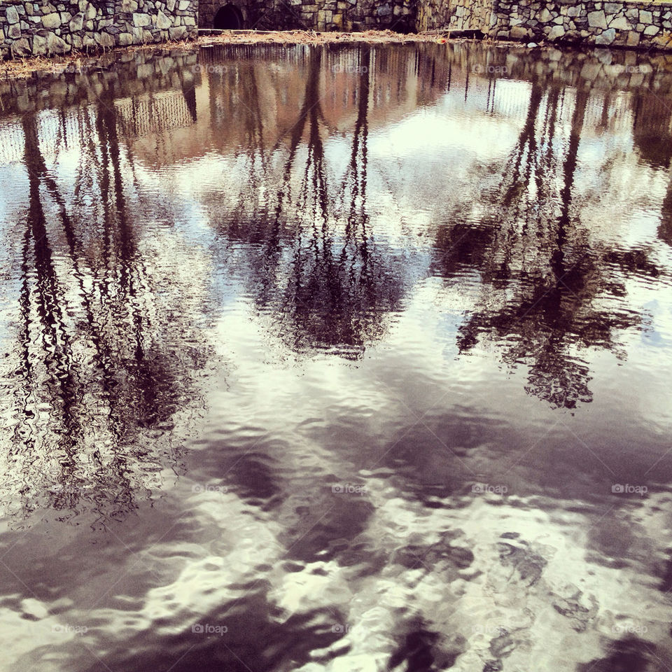Reflections and treeflections.