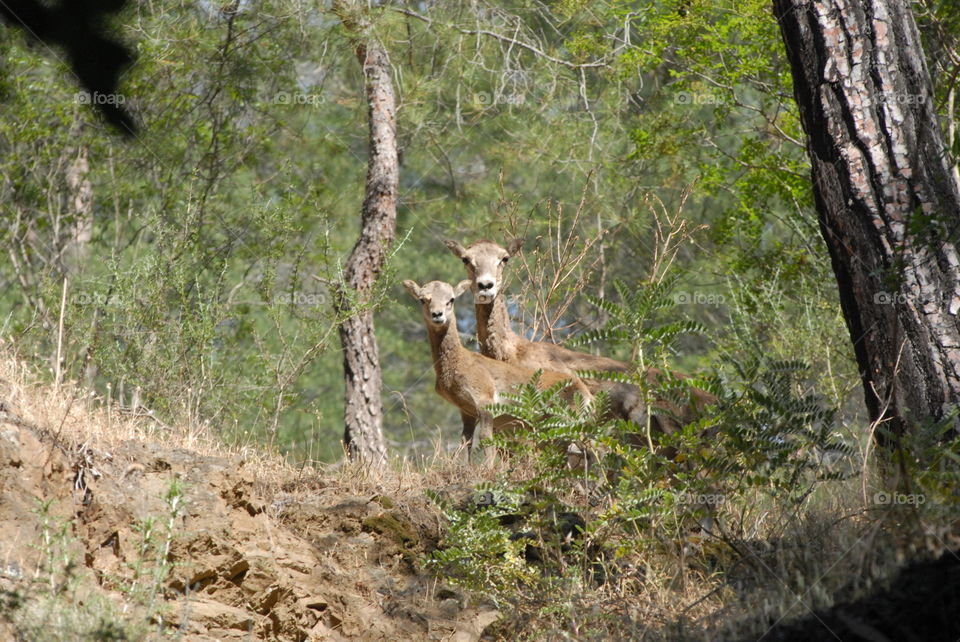 What are you looking at?