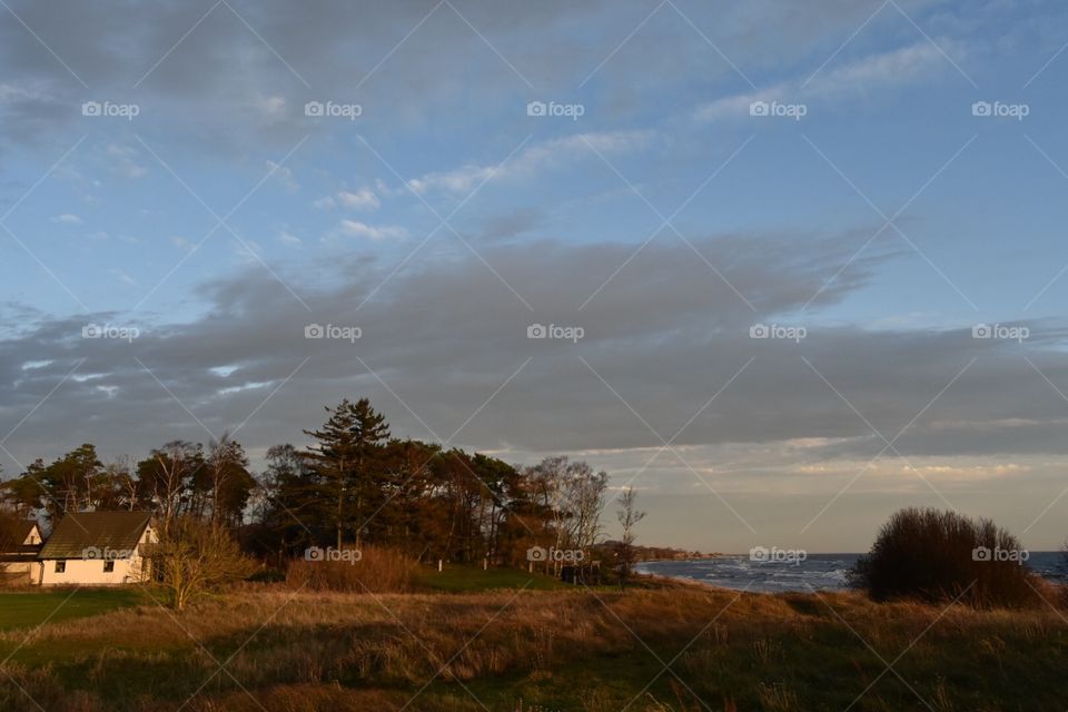 Landscape, No Person, Sunset, Sky, Tree