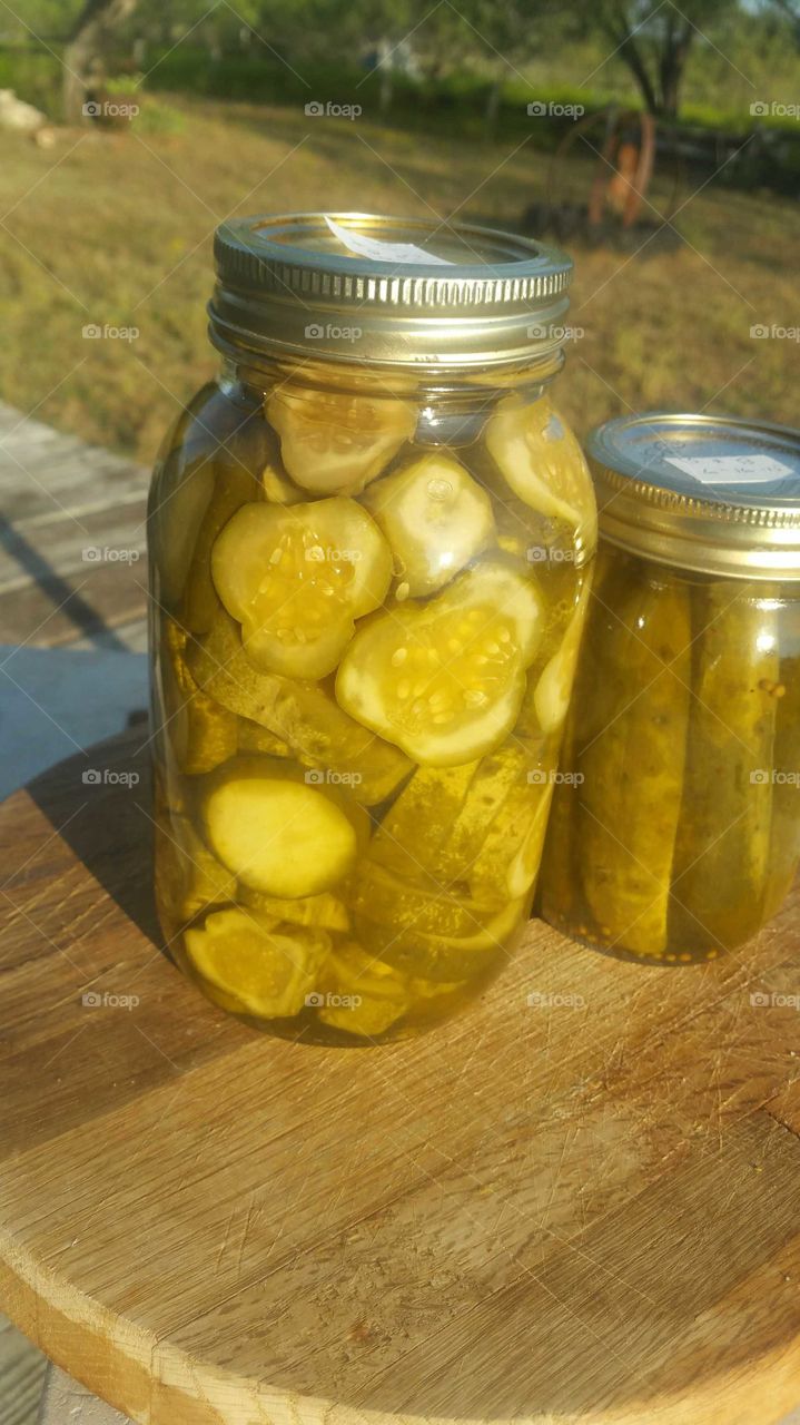 Harvest canned pickles