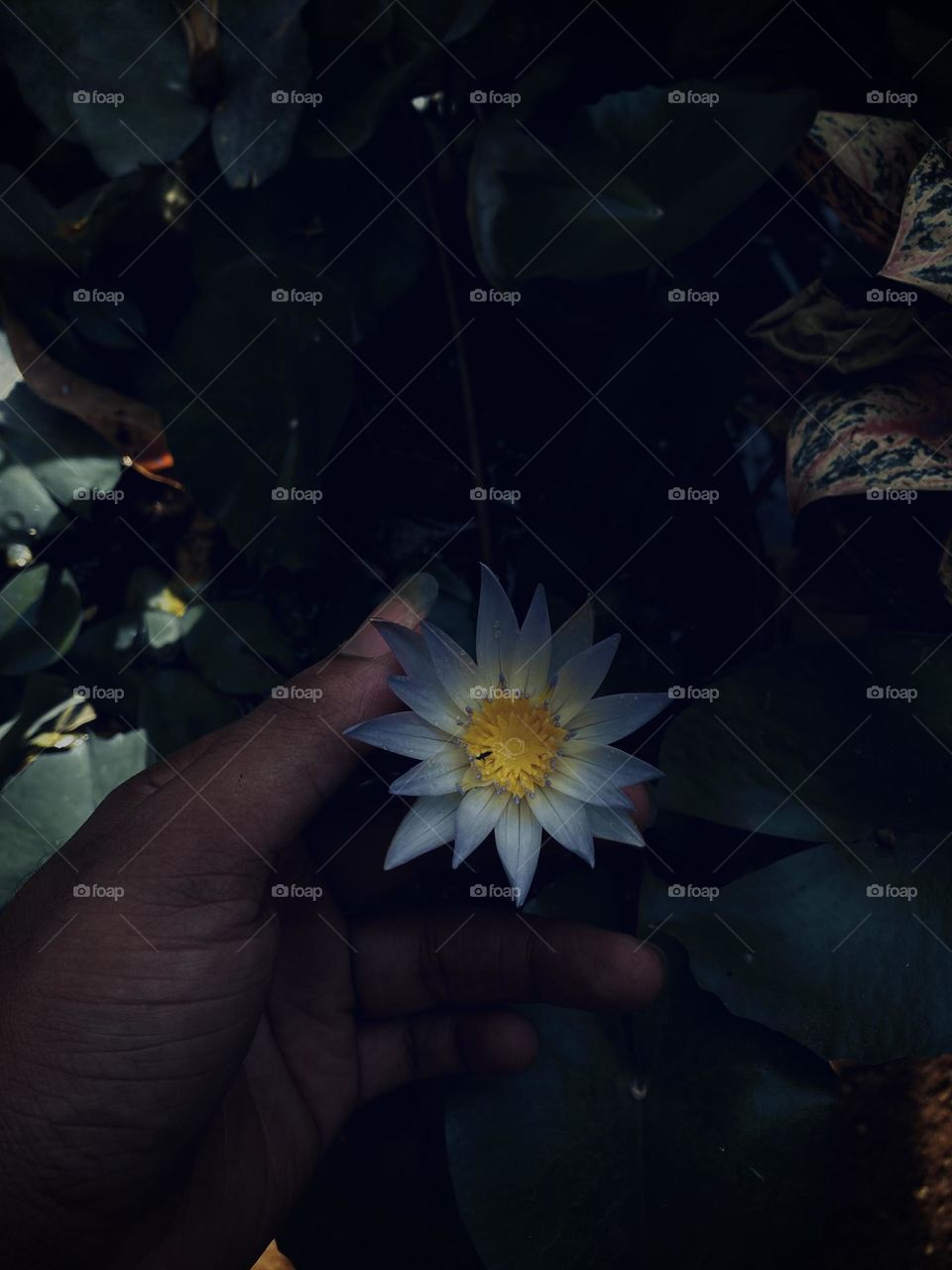 This is my gift to the world ✨❤️