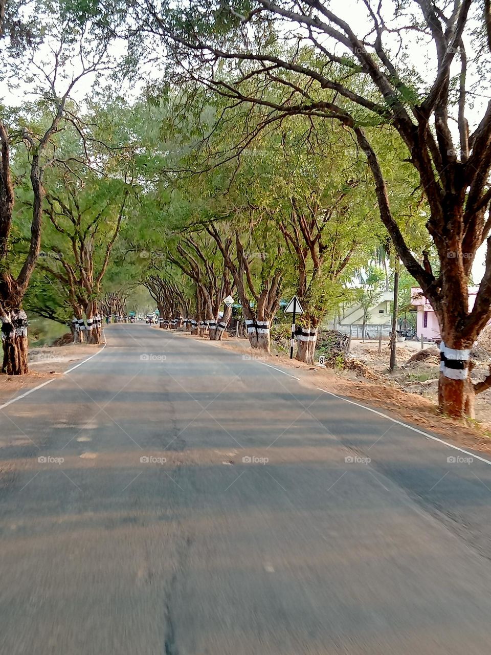 ravarma clear road