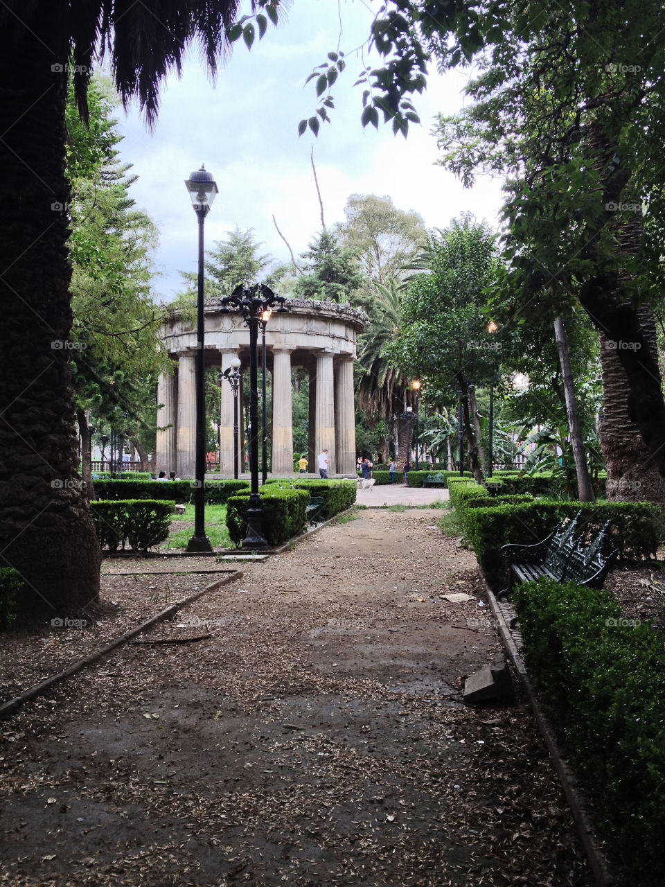 Park. Park in Mexico