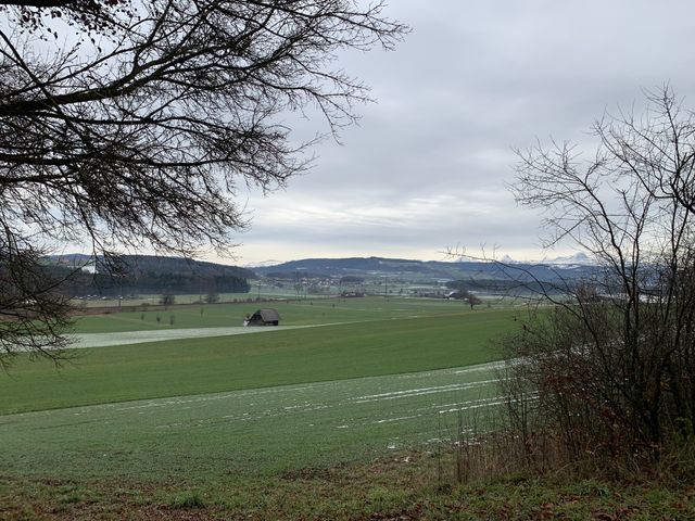 Swiss