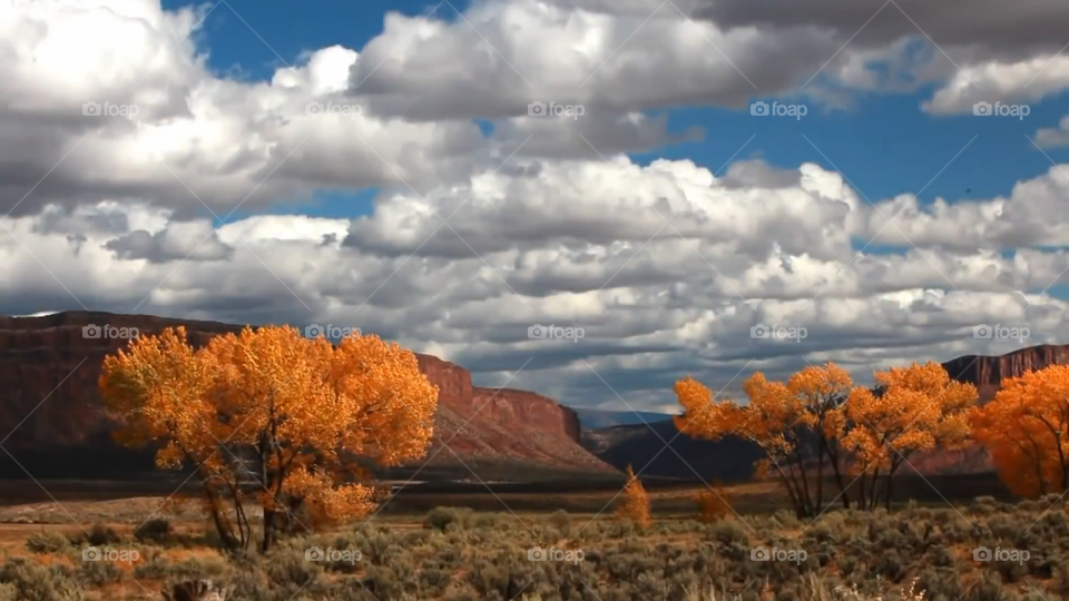 beautiful valley