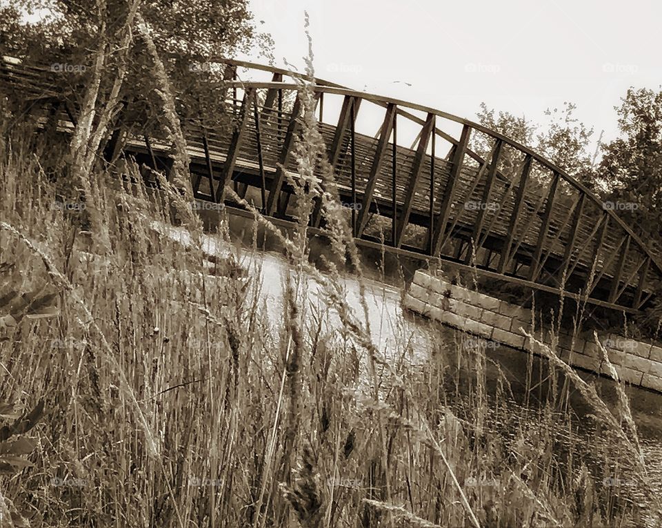 Bridge over a pond—taken in Munster, Indiana 