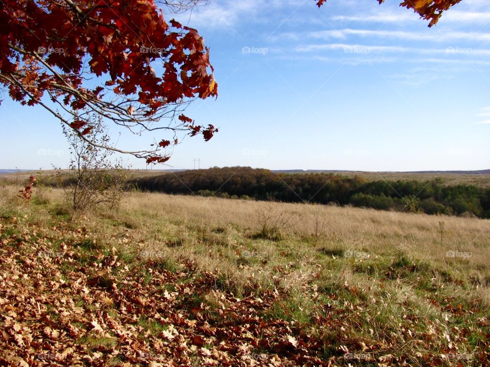 Autumn in the fields