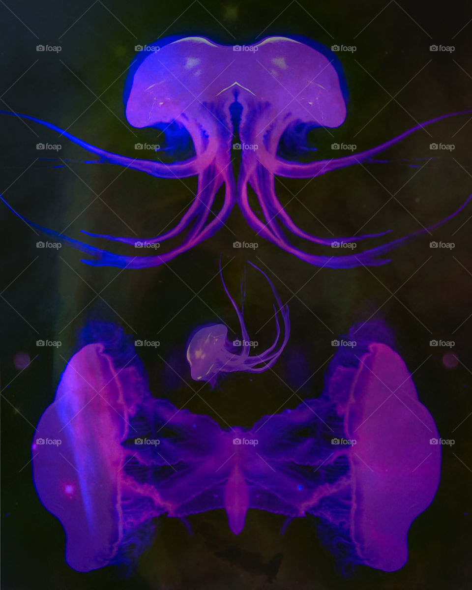 Abstract image composed from a photos of jellyfish and galaxy overlay 