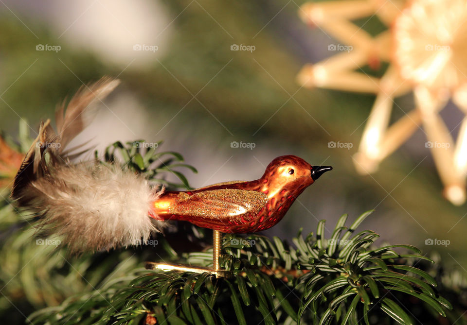 Fake bird with feathers on christmas tree
