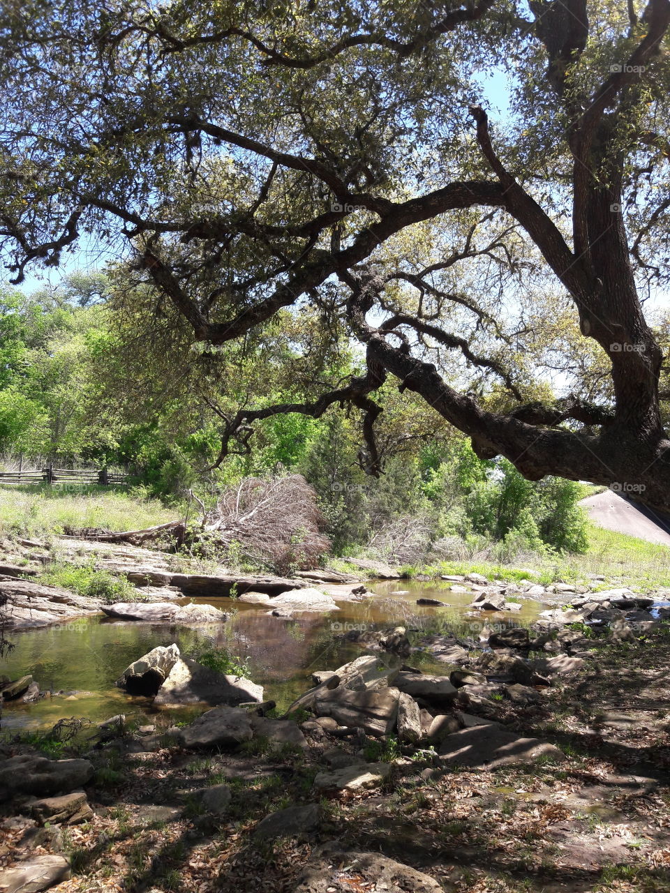 Park out of Brenham,TX.