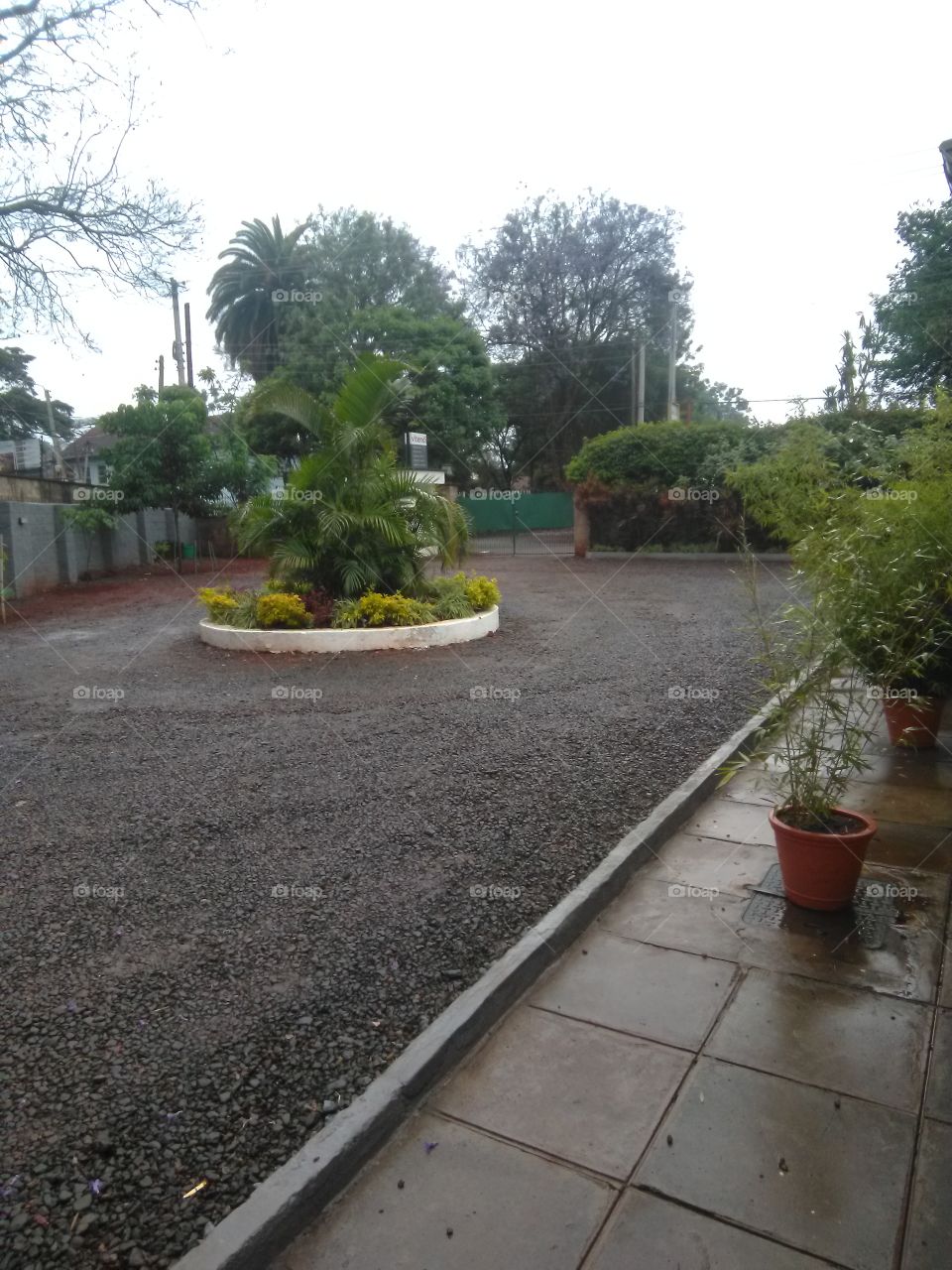 A beautiful and well maintained compound with healthy green flowers and trees on a rainy morning.