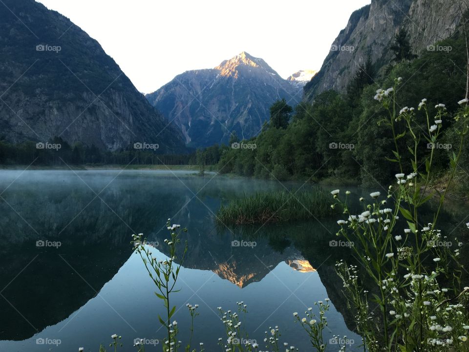Early Morning Fog Veil