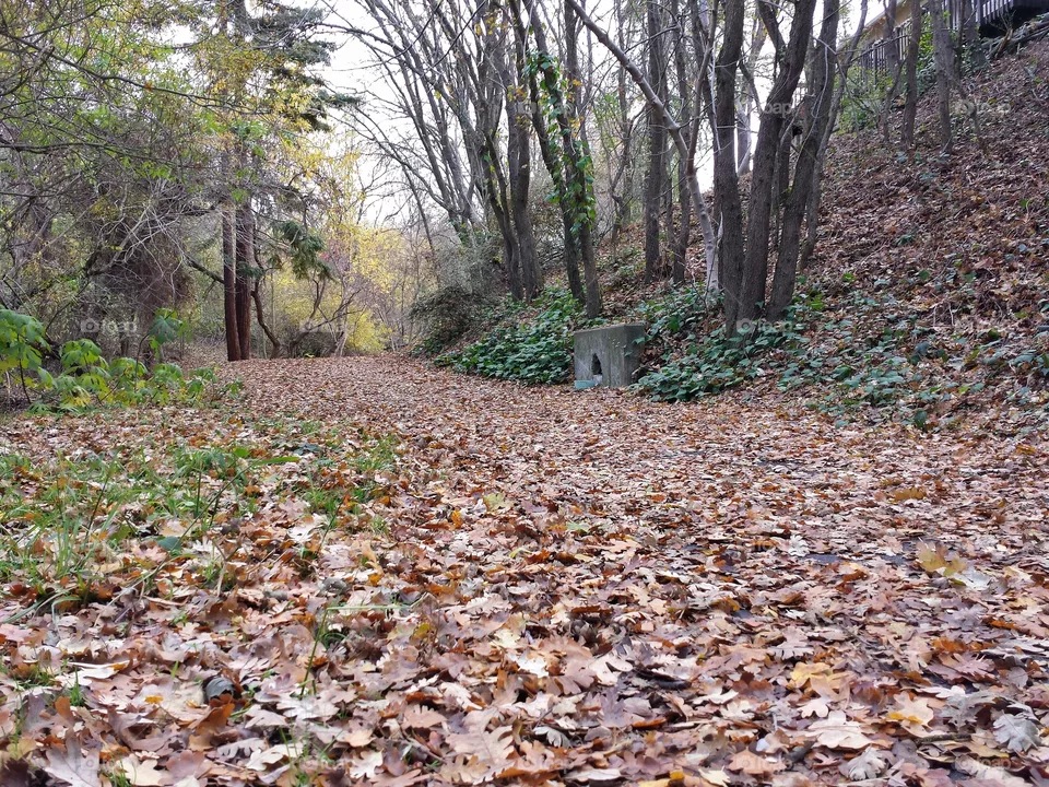 alley