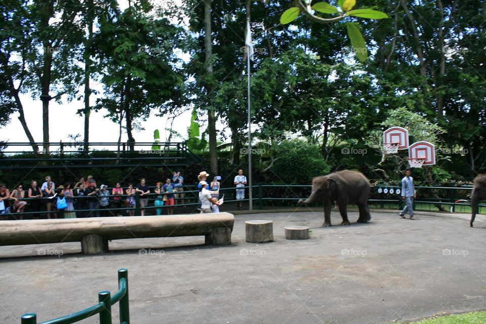 zoo