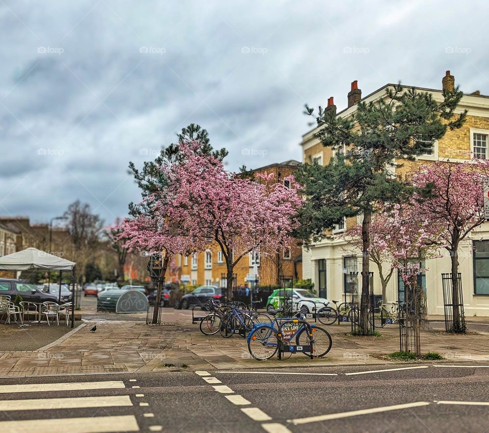 spring in London