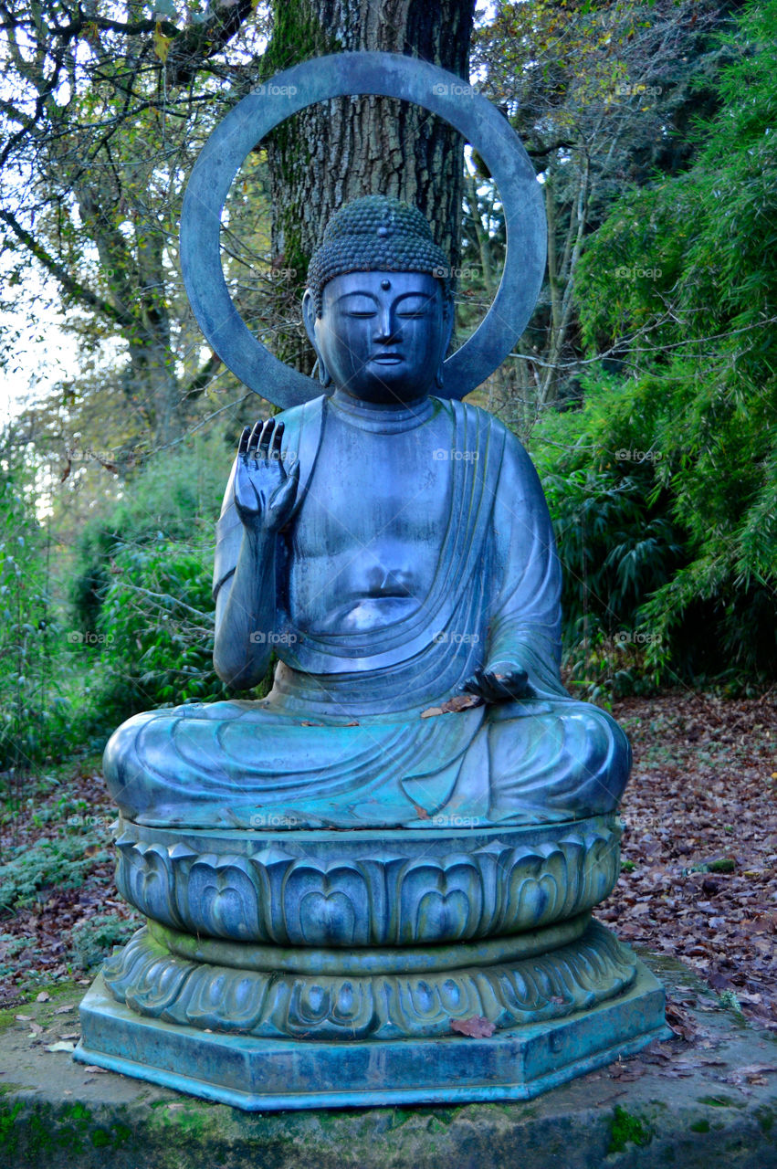 Buddha. Zen garden 