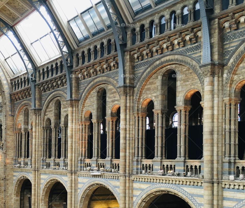 In the Natural History museum, London