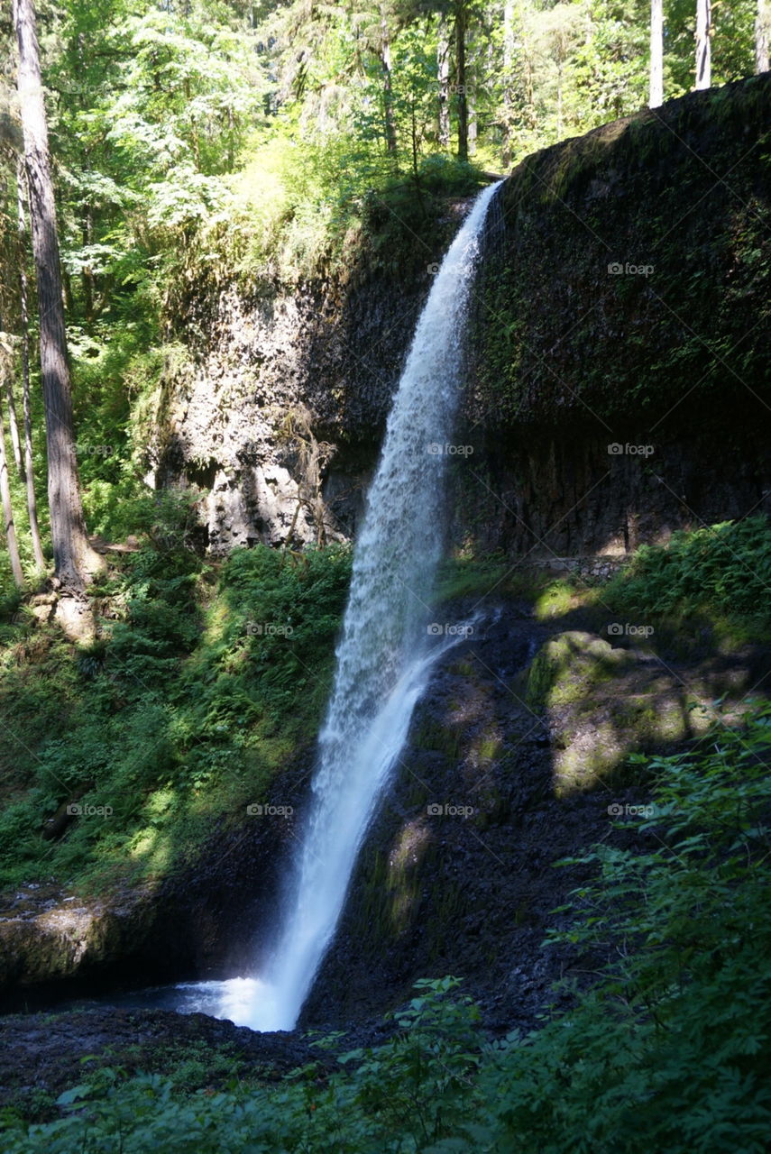 Waterfall. Silver creek falls