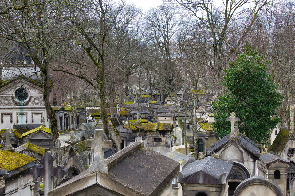 graveyard in the cemetery in paris
