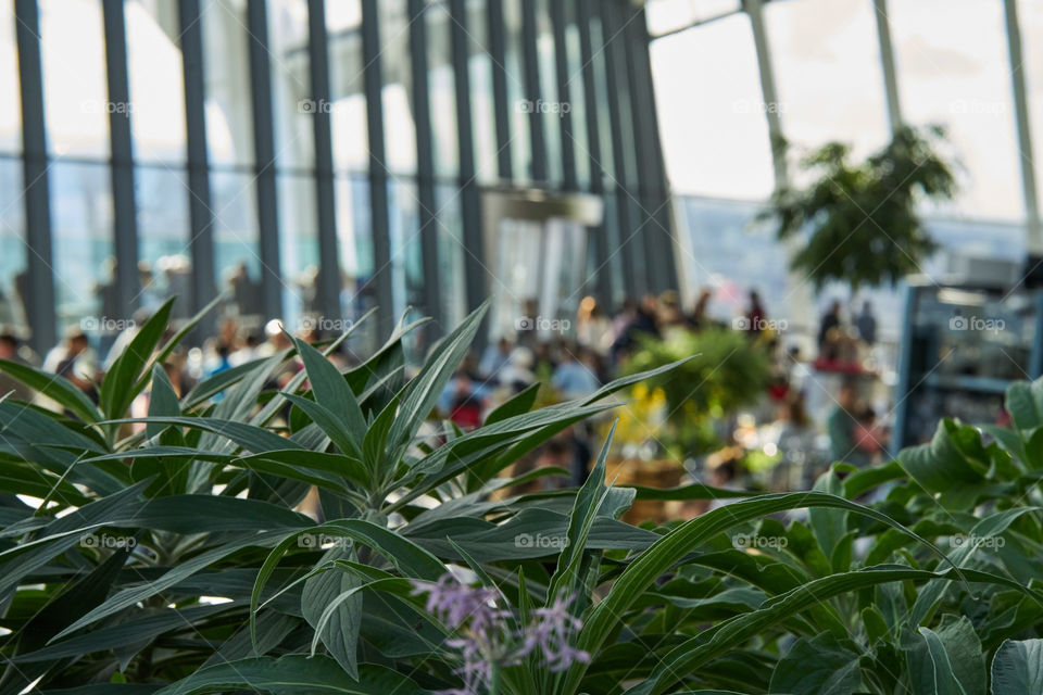 Comiendo entre nubes. Sky Garden