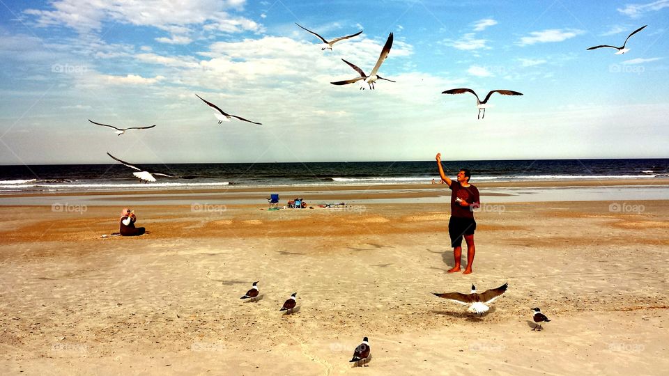 Feeding the Sea Gulls