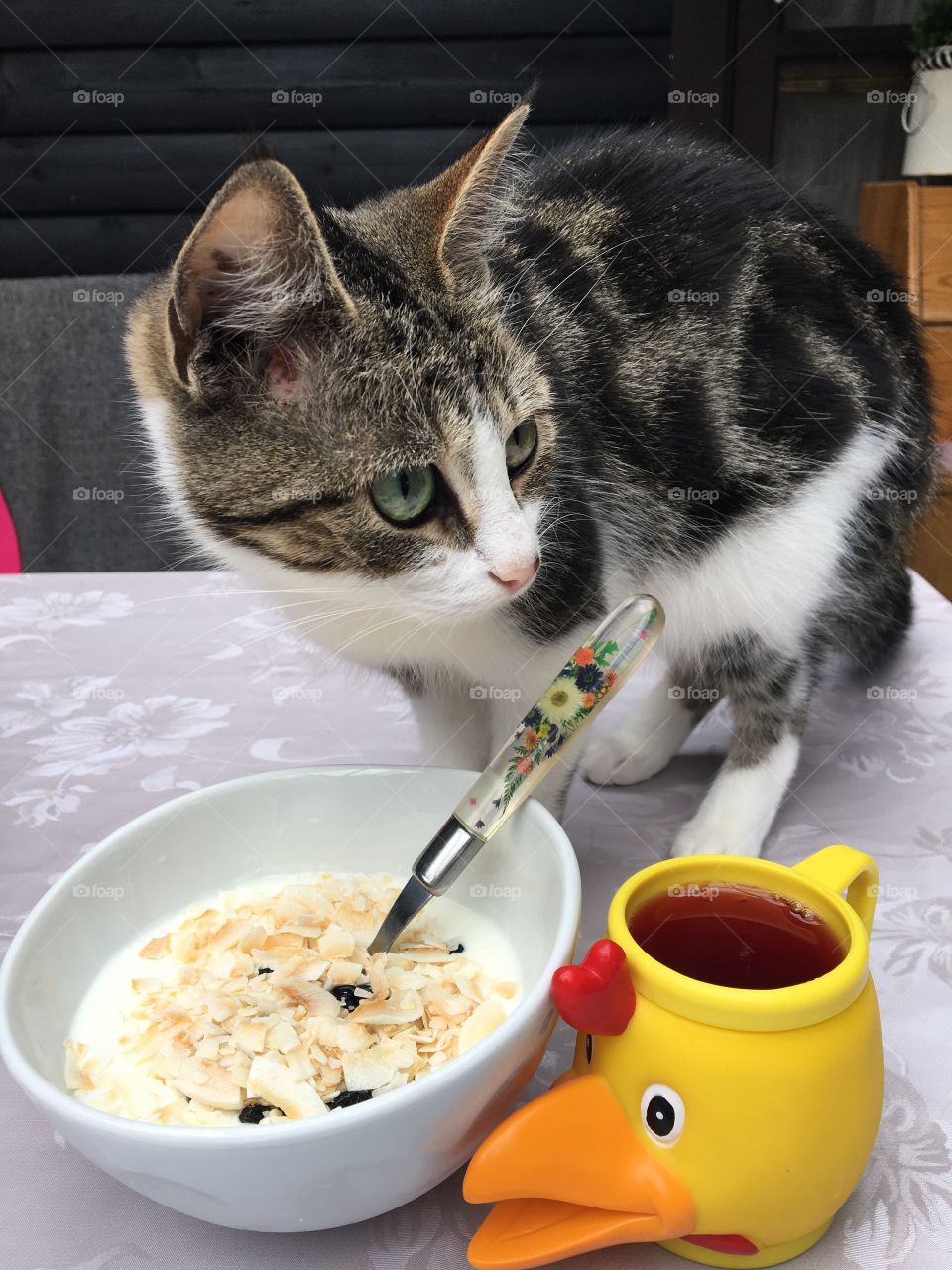 Not allowed at the table...