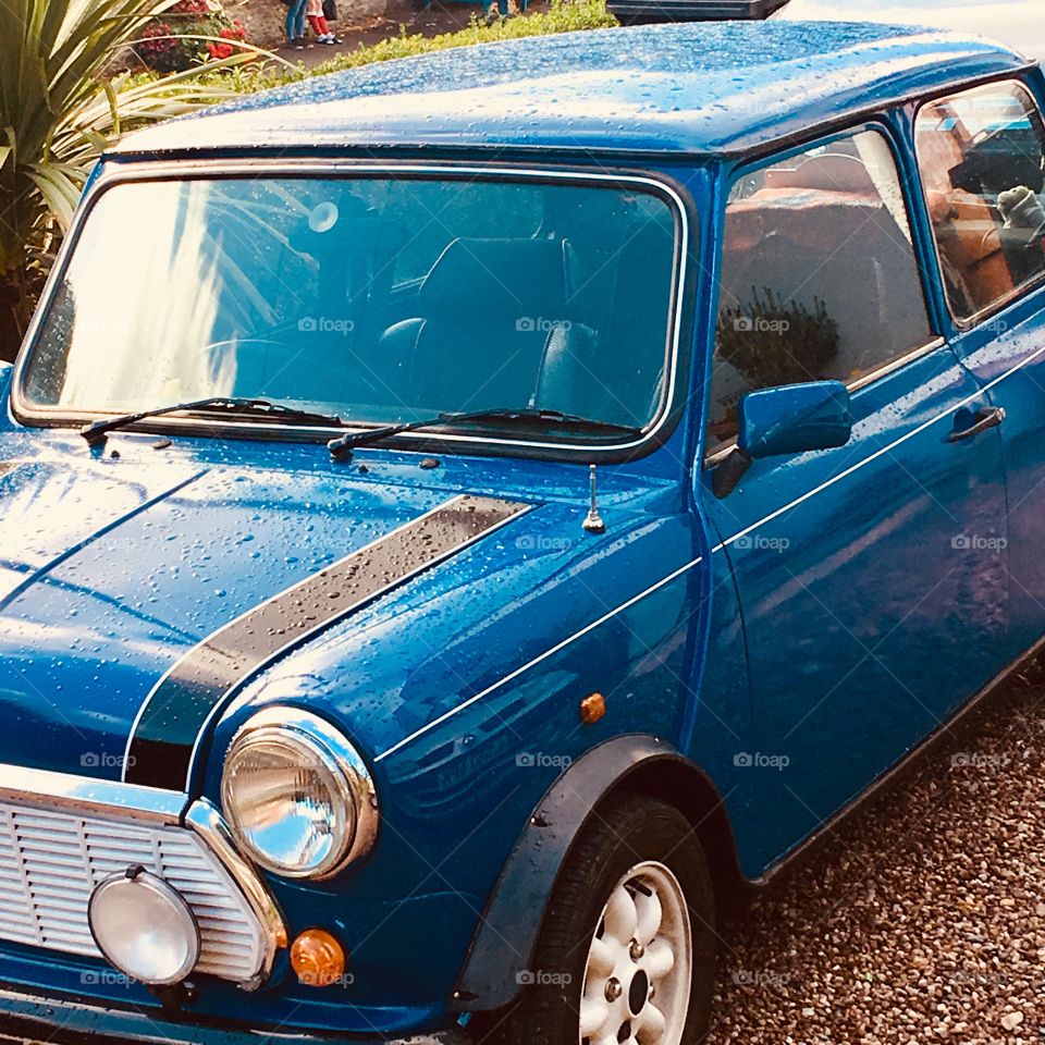 Classic Mini Cooper, restored and shining from the recent Devon down pour 