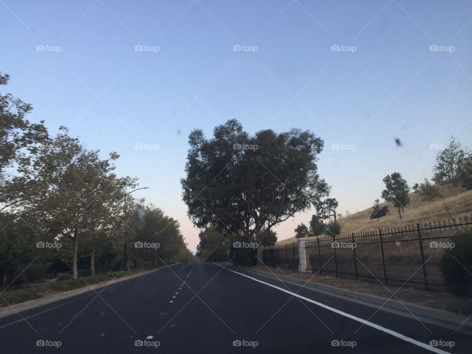 Road, Tree, Street, Landscape, Guidance