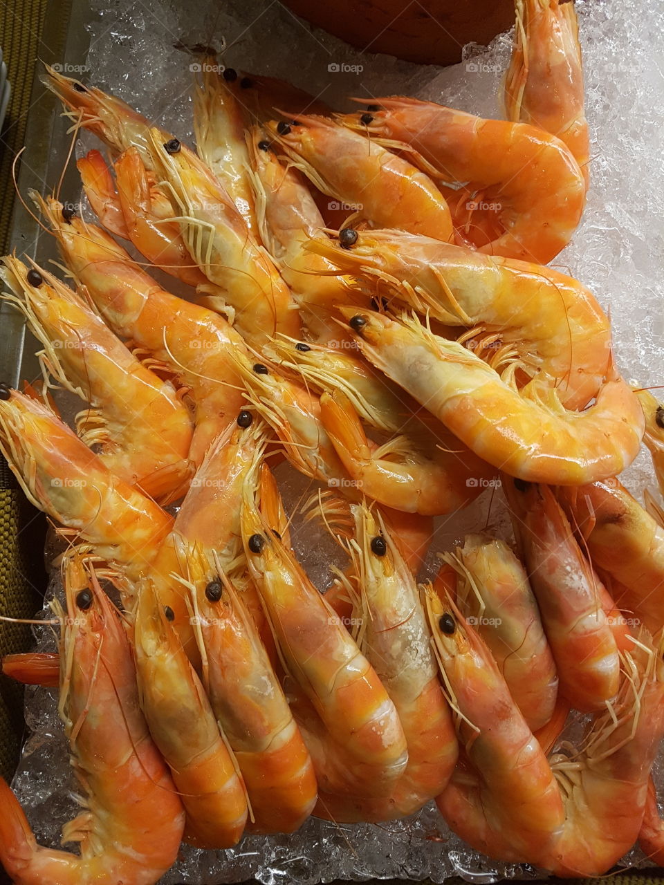 cooked cold shrimp display on ice