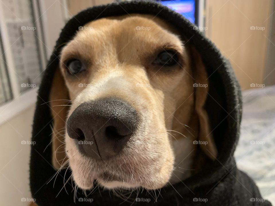 Julga ou não julga?