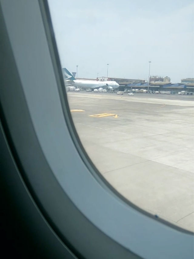 Fly 