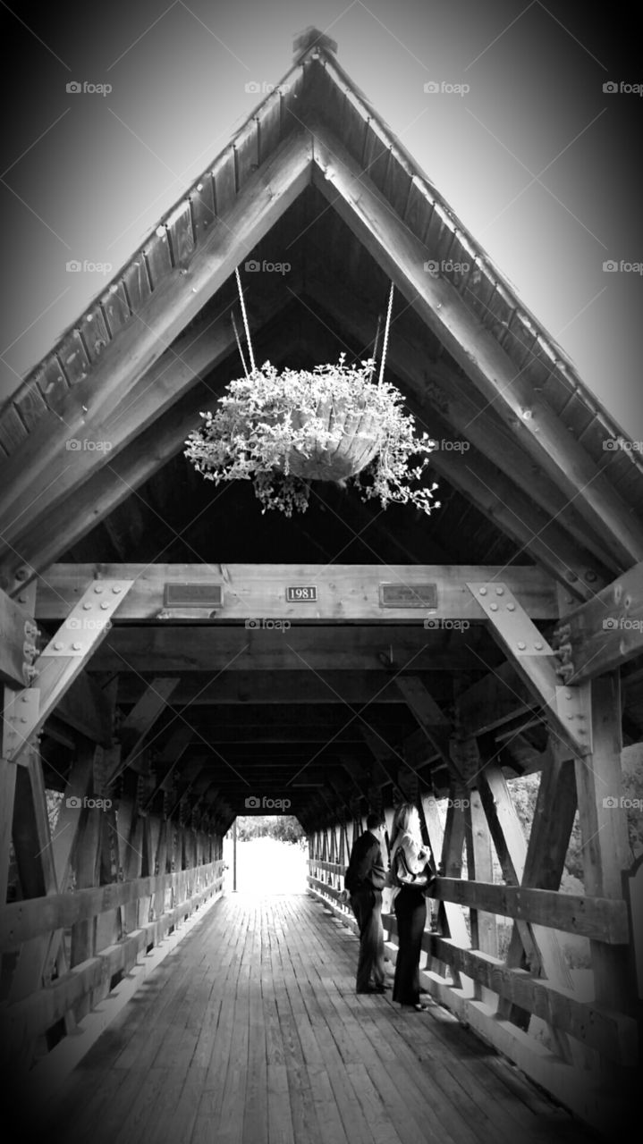 naperville covered bridge