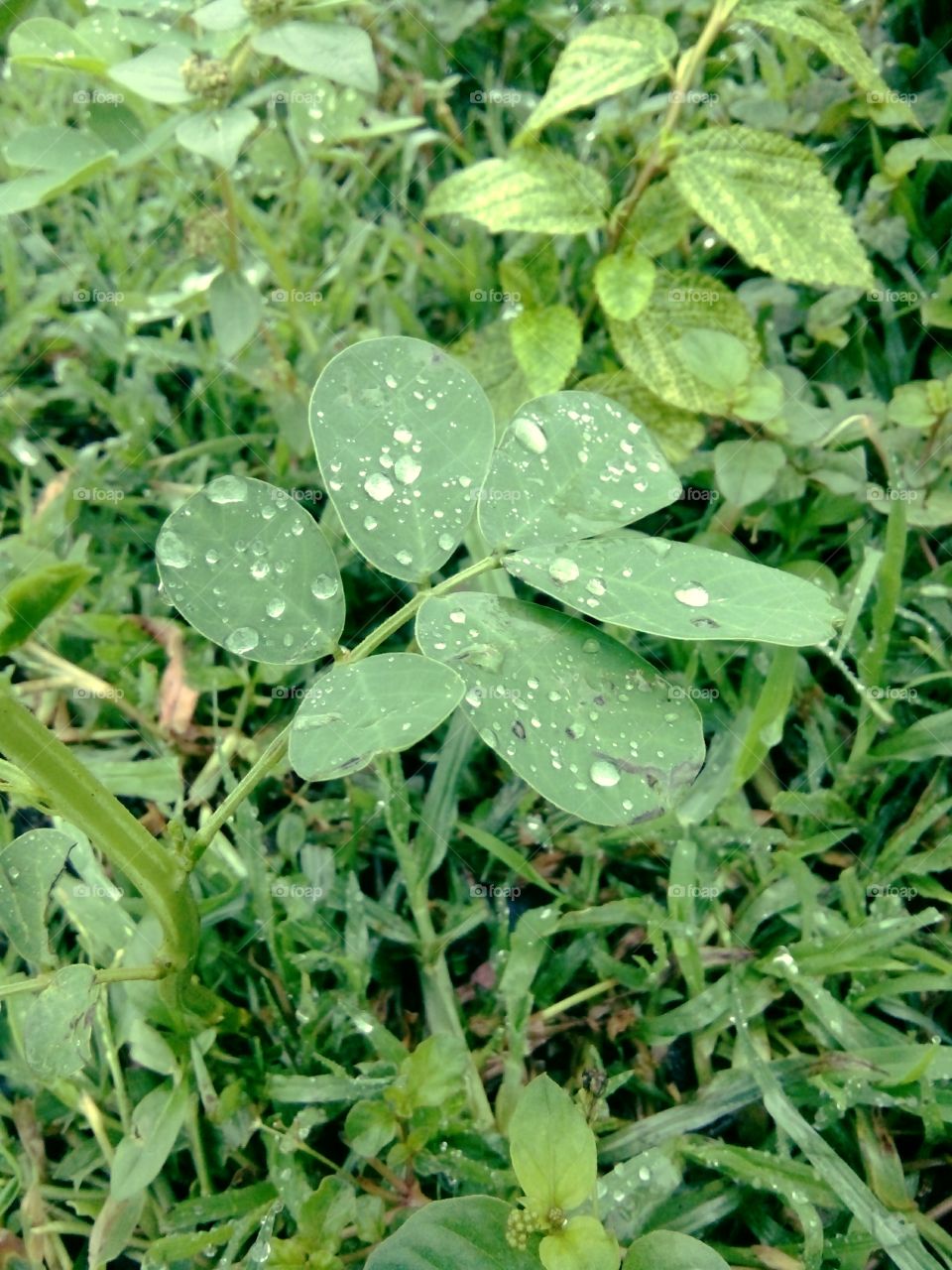 A great photo,a photo for everyone,a memorable photo,a no. photoa photo to cherish,a beautiful photo,a great photo for the best people,an evergreen photo,a photo to remember for years, the best result of great photography