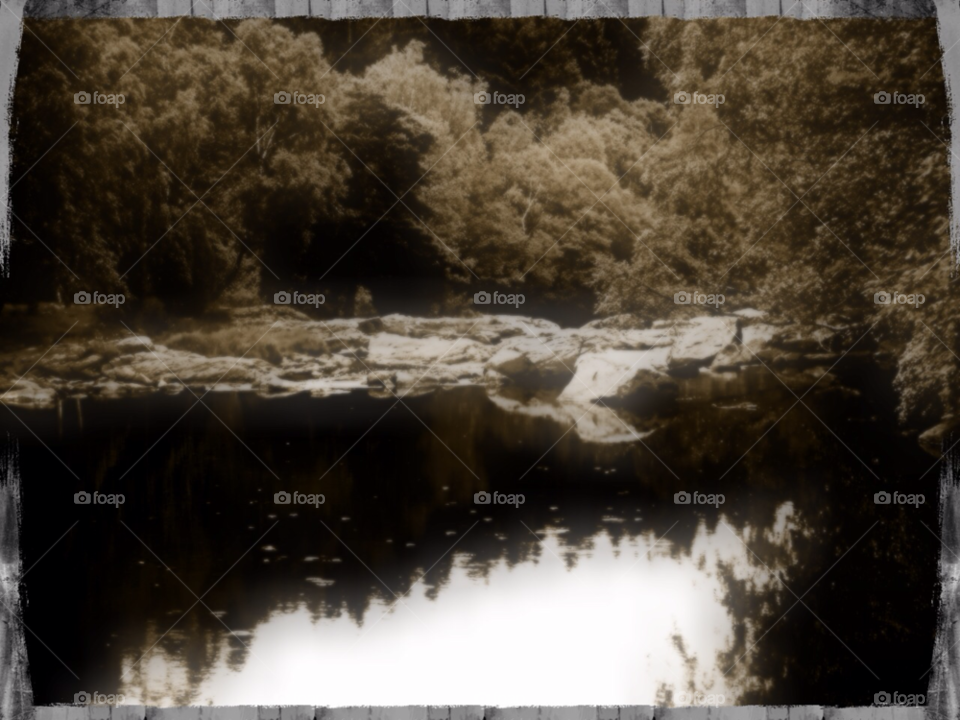 sjö skog forest lake by kalubro