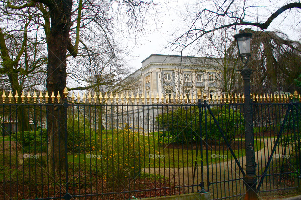 Fence, Building, No Person, Tree, House