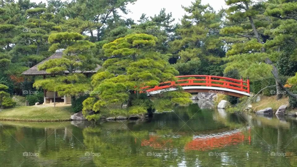Japanese garden...