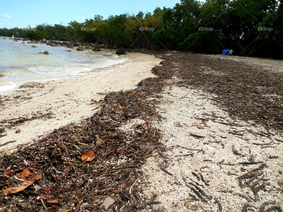 Sandy beach. Florida keys 
