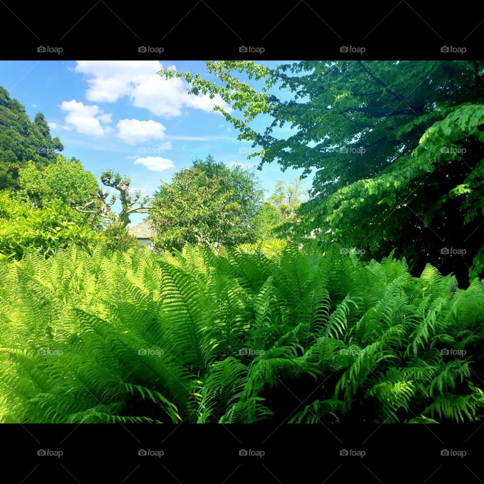 Grün , grün , grün und blau  , schööön