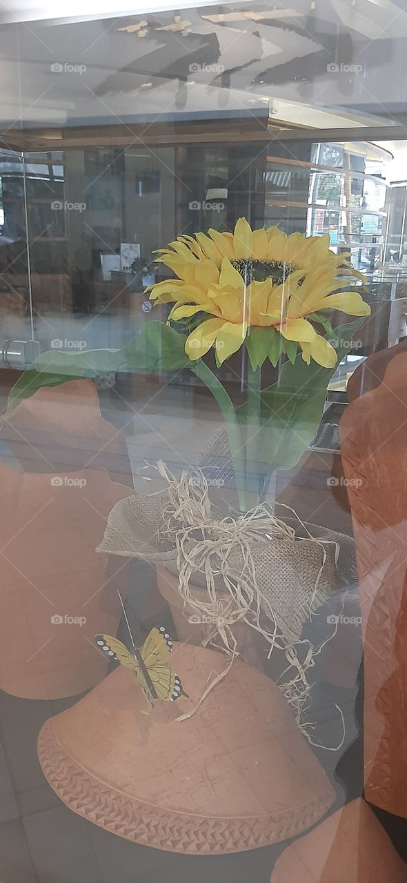 Sunflower being display at Jewery shop in Windhoek Namibia