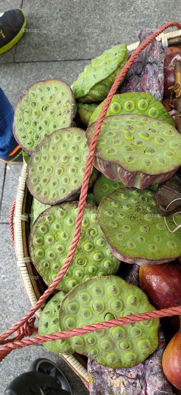 lotus seeds