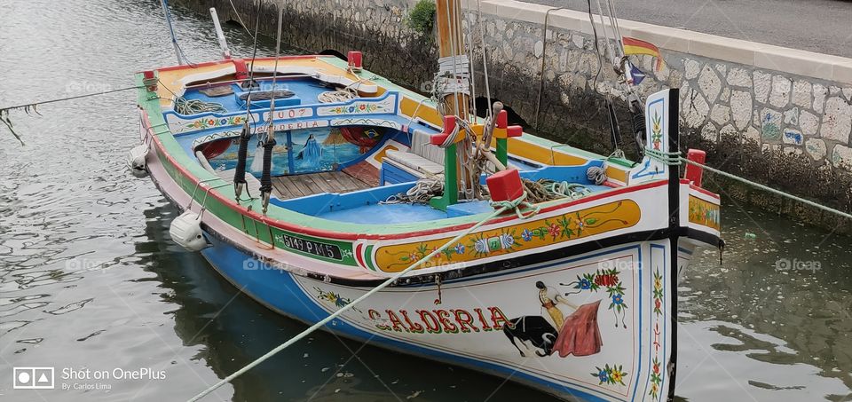 A beautiful tradicional portuguese boat ⛵