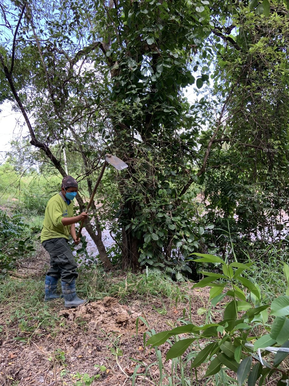 This is why I love my job, Countryside (Thailand)